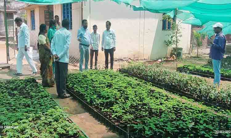 వననర్సరీల నిర్వహణపై దృష్టి సారించాలి