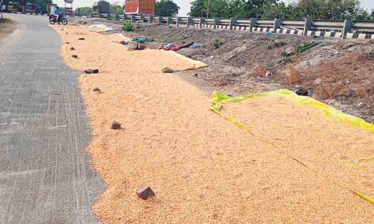 మక్క @ రూ.2,100