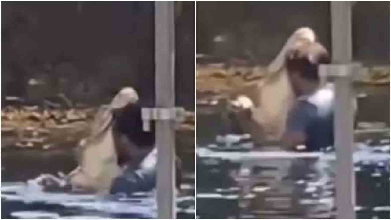 మొస‌లిని కౌగిలించుకొని దానితో డ్యాన్స్ చేశాడు.. ఆ త‌ర్వాత ఏమైందో తెలుసా? వైర‌ల్ వీడియో