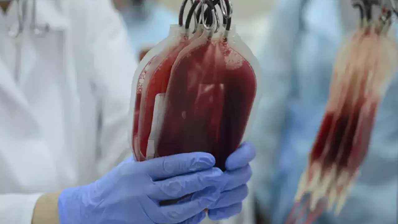 షాకింగ్ న్యూస్‌.. మ‌నుషుల ర‌క్తంలో ప్లాస్టిక్‌.. మొద‌టిసారి గుర్తించిన ప‌రిశోధ‌కులు..