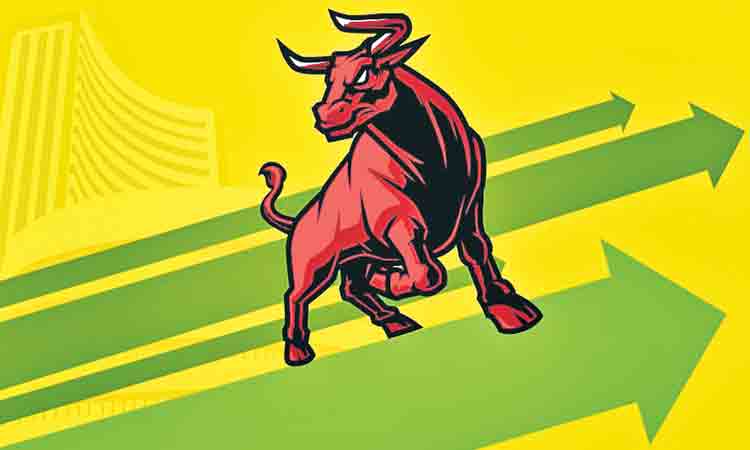 బుల్‌ రయ్‌.. రయ్‌..