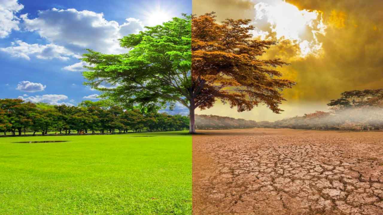 తెలంగాణలో శీతోష్ణస్థితి విస్తరణ ఎలా ఉంటుంది?