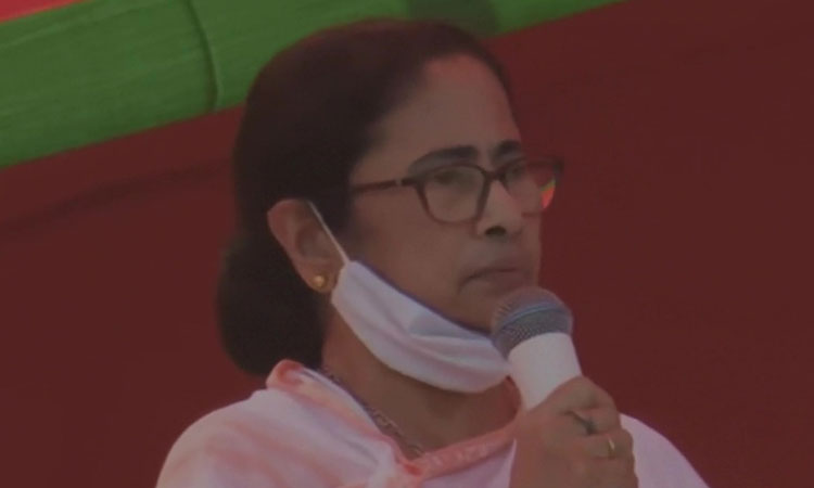 Mamatha banerjee |  పిరికిపంద‌ను కాను.. యోధురాలిని : మ‌మ‌తా బెన‌ర్జీ
