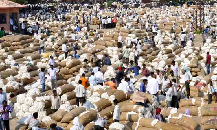 Cotton Price | వరంగల్‌లో పత్తి ధరకు రెక్కలు.. క్వింటాల్‌ ధర ఎంతంటే..?