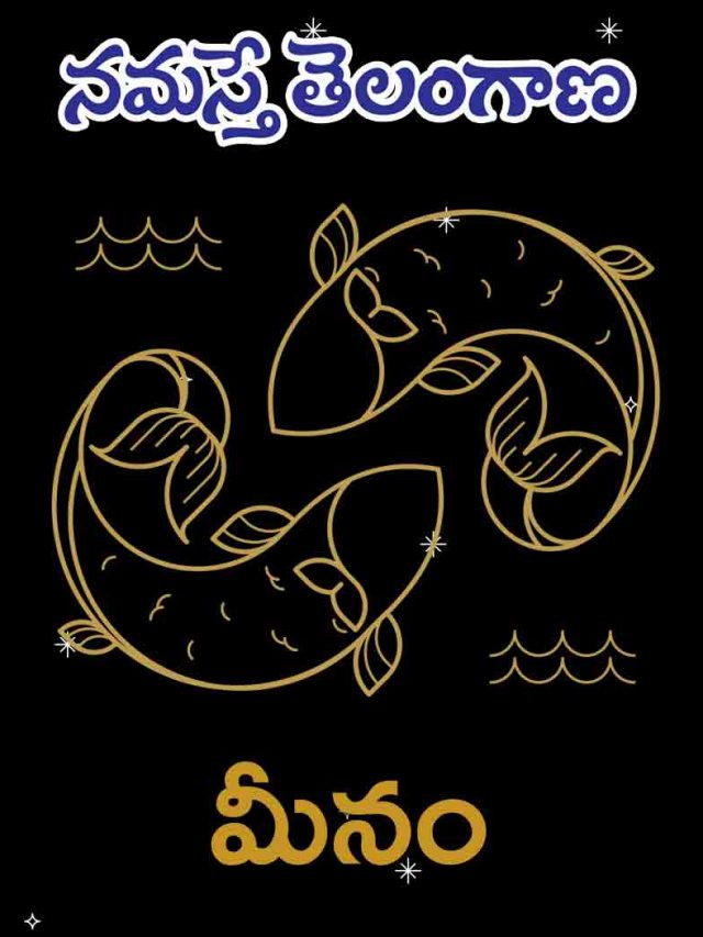 మీన రాశి వారికి ఈ ఏడాది ఎలా ఉండ‌బోతోంది?