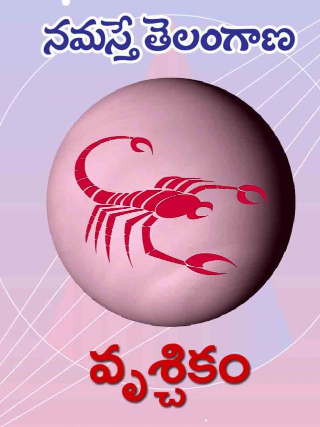 వృశ్చిక రాశి వారికి ఈ ఏడాది ఎలా ఉండ‌బోతోంది?
