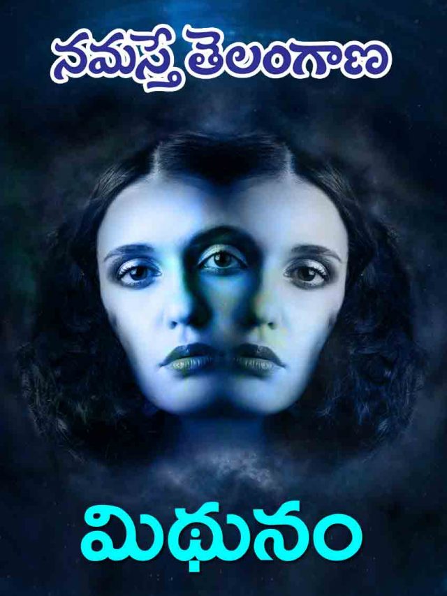 మిథున రాశి వారికి ఈ ఏడాది ఎలా ఉండ‌బోతోంది?