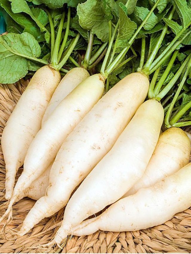 పైల్స్ ఉన్న‌వారు ముల్లంగి తినొచ్చా?