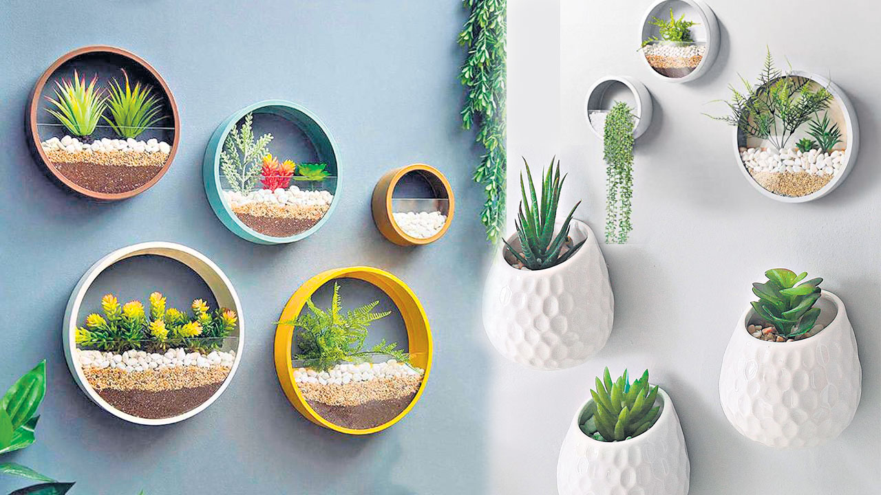 మొక్క‌లు పెంచాల‌న్న ఇంట్రెస్ట్ ఉన్నా జాగా లేద‌ని ఫీల‌వుతున్నారా? ఒక‌సారి వీటిపైపు ఓ లుక్కేయండి