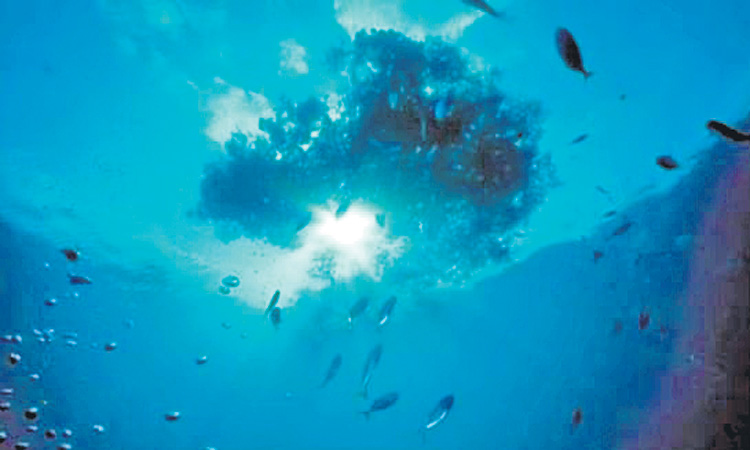 జీవం గుట్టుపై డీప్‌ ఓషన్‌ మిషన్‌