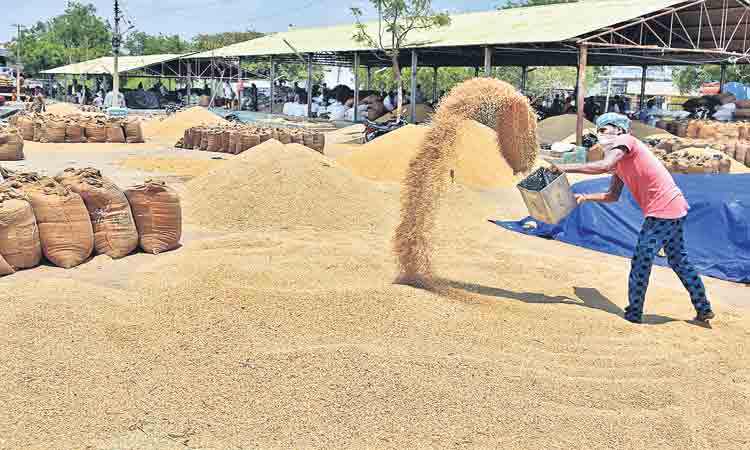 దేశ ఆహార అవసరాలను తీర్చేదెవరు?