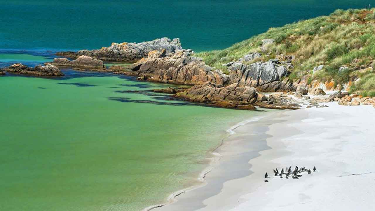 ఫాక్‌లాండ్ దీవులు ఏ సముద్రంలో ఉన్నాయి?