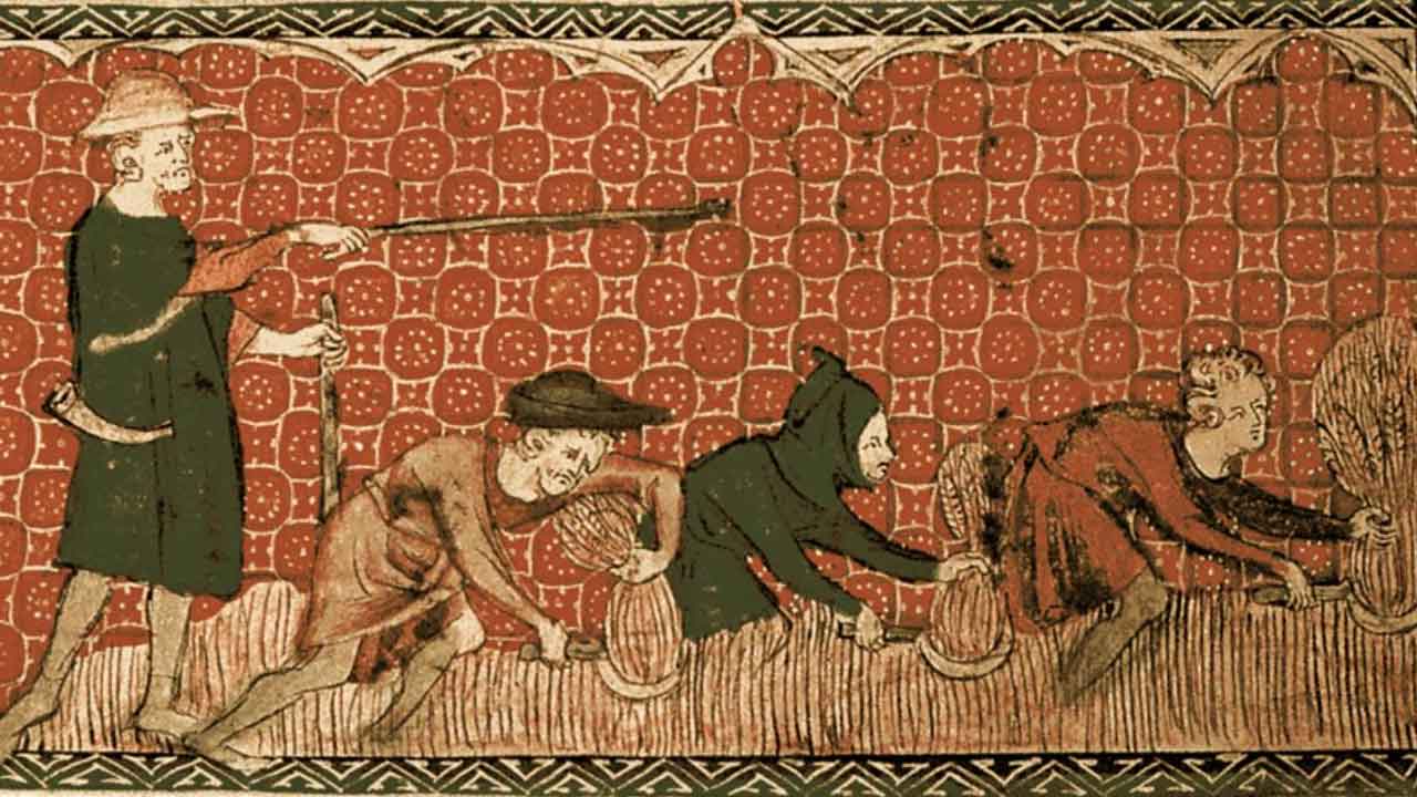 భారత్‌లో భూస్వామ్యం-యాజమాన్యం