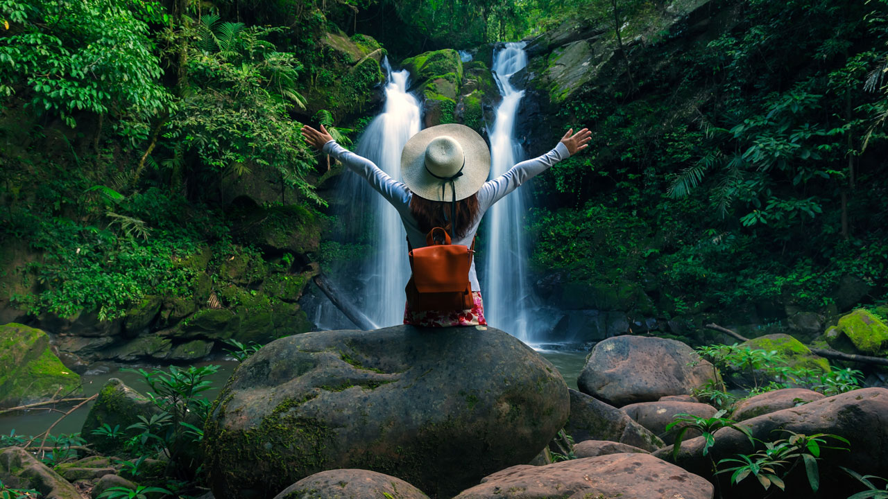 Forest Bathing | జ‌ప‌నీయులు వారానికి ఒక్క‌సారైనా ఈ అడ‌వి స్నానం చేస్తున్నారు.. ఎందుకో తెలుసా