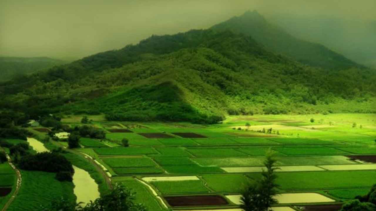 దేశంలో అత్యధిక నిరుద్యోగిత గల రాష్ట్రం ఏది?