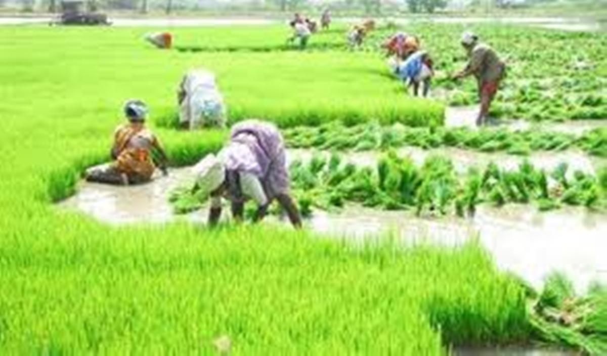 Rainbow revolution |  ఇంద్రధనస్సు విప్లవం ప్రధాన ఉద్దేశం?