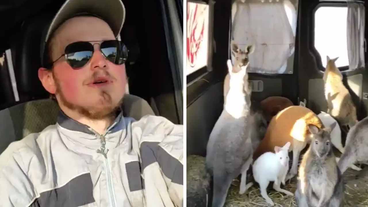 Viral video: ఉక్రెయిన్‌లో చుట్టూ మంట‌లు.. ప్రాణాల‌కు తెగించి కాపాడాడు..!!