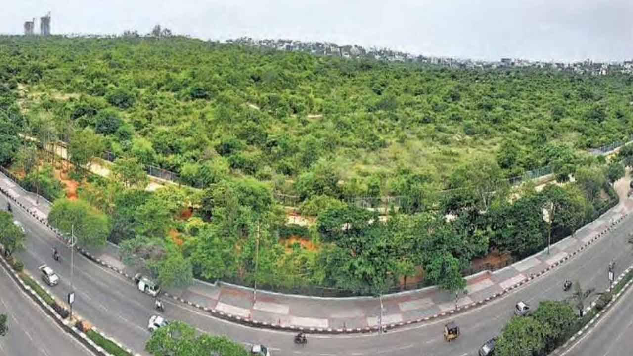 తెలంగాణలోని రక్షిత అడవులు ఏవి?