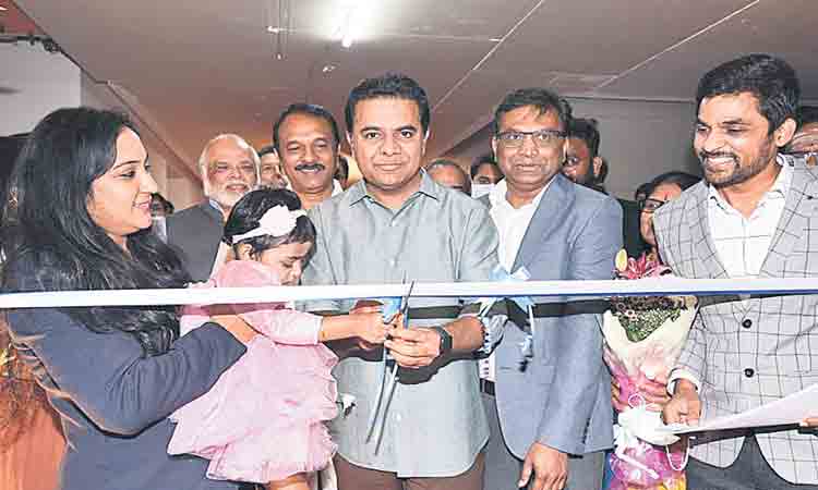 గ్రామినర్‌ విస్తరణ