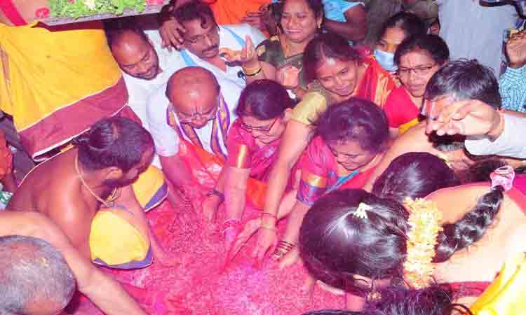 వైభవంగా వసంతోత్సవం, డోలోత్సవం