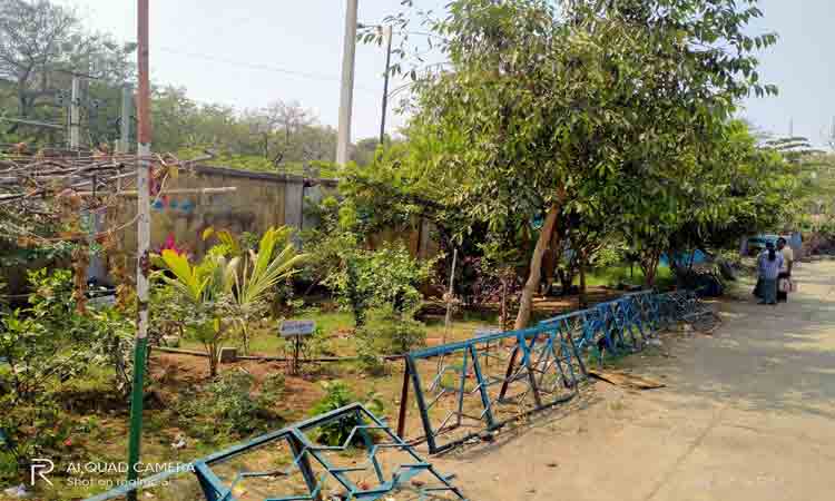 ఆర్టీసీ హరితమయం