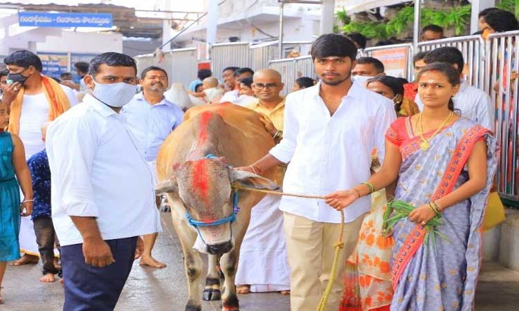 భక్తుల కొంగుబంగారం.. రాజన్న క్షేత్రం