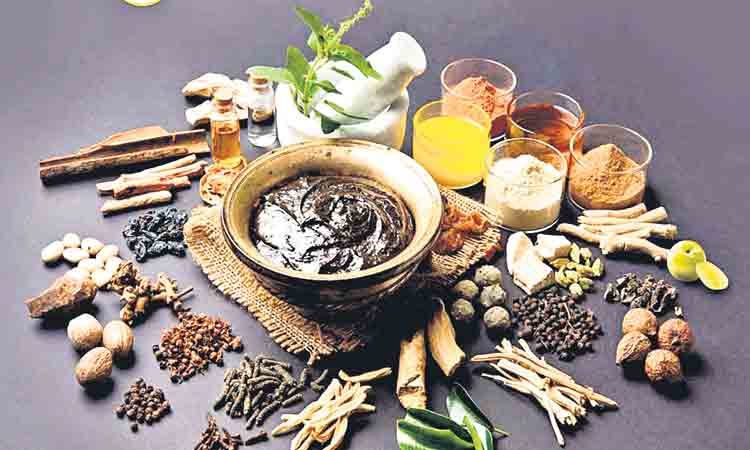 ఆయుష్‌ వర్సిటీ హుష్‌కాకి!