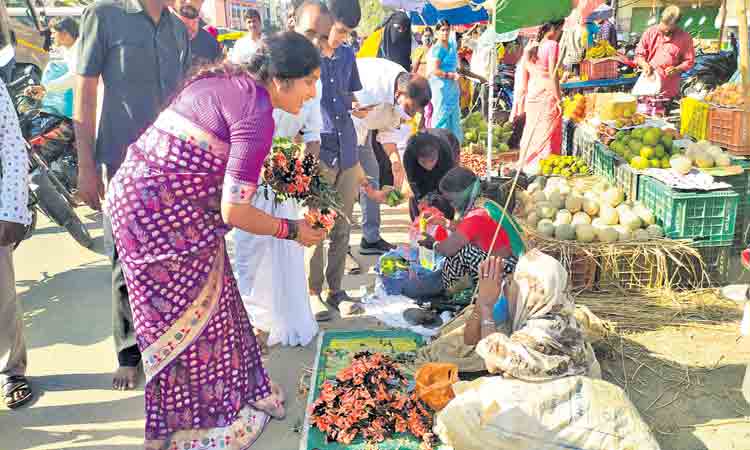 అవ్వ నీకు పింఛన్‌ వస్తున్నదా..