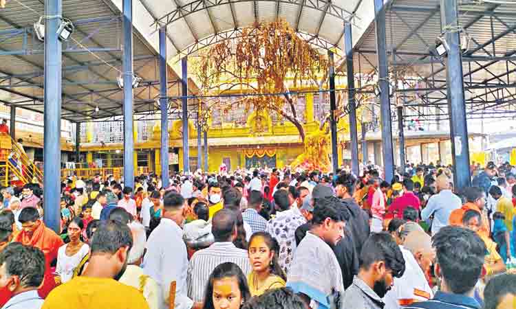 కోరమీసాల స్వామికి కోటిదండాలు