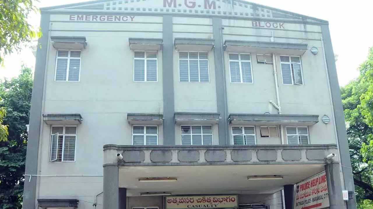 ఎంజీఎం ఘటనపై స‌ర్కారు సీరియ‌స్‌..ఇద్ద‌రు వైద్యుల స‌స్పెండ్‌.. సూపరింటెండెంట్‌పై బదిలీ వేటు