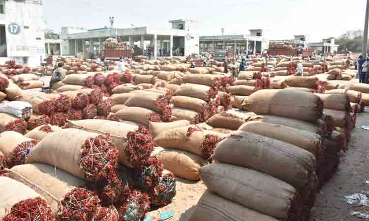 Mirchi Price | వరంగల్‌లో ‘ఎర్ర బంగారం’ ధర ఎంతంటే..?