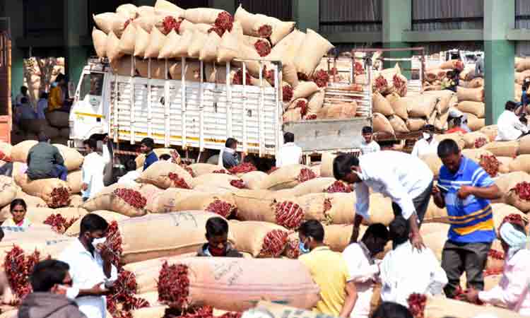 Mirchi Price | వరంగల్‌లో దేశి మిర్చికి ఆల్‌ టైం రికార్డు ధర
