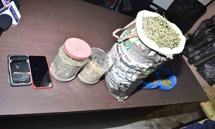 అటవీశాఖ భూమిలో గంజాయి సాగు