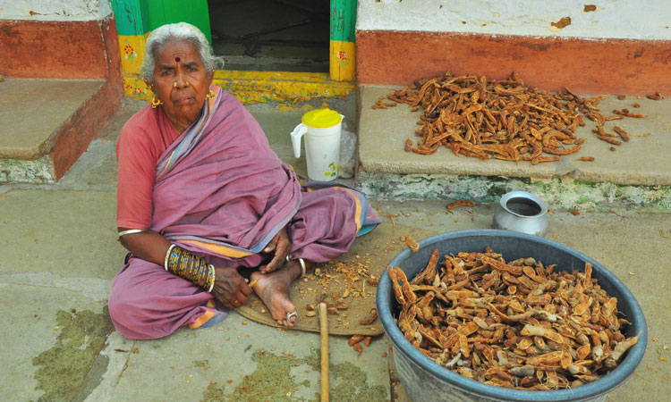 సావుదలకు నూకల బువ్వనా?