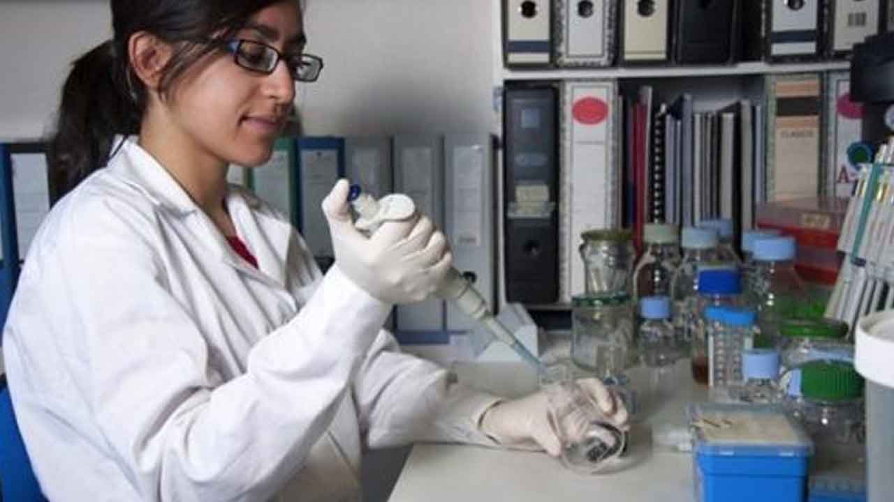 ఉపాధికి మార్గాలు.. ఈ వృత్తి విద్యా కోర్సులు