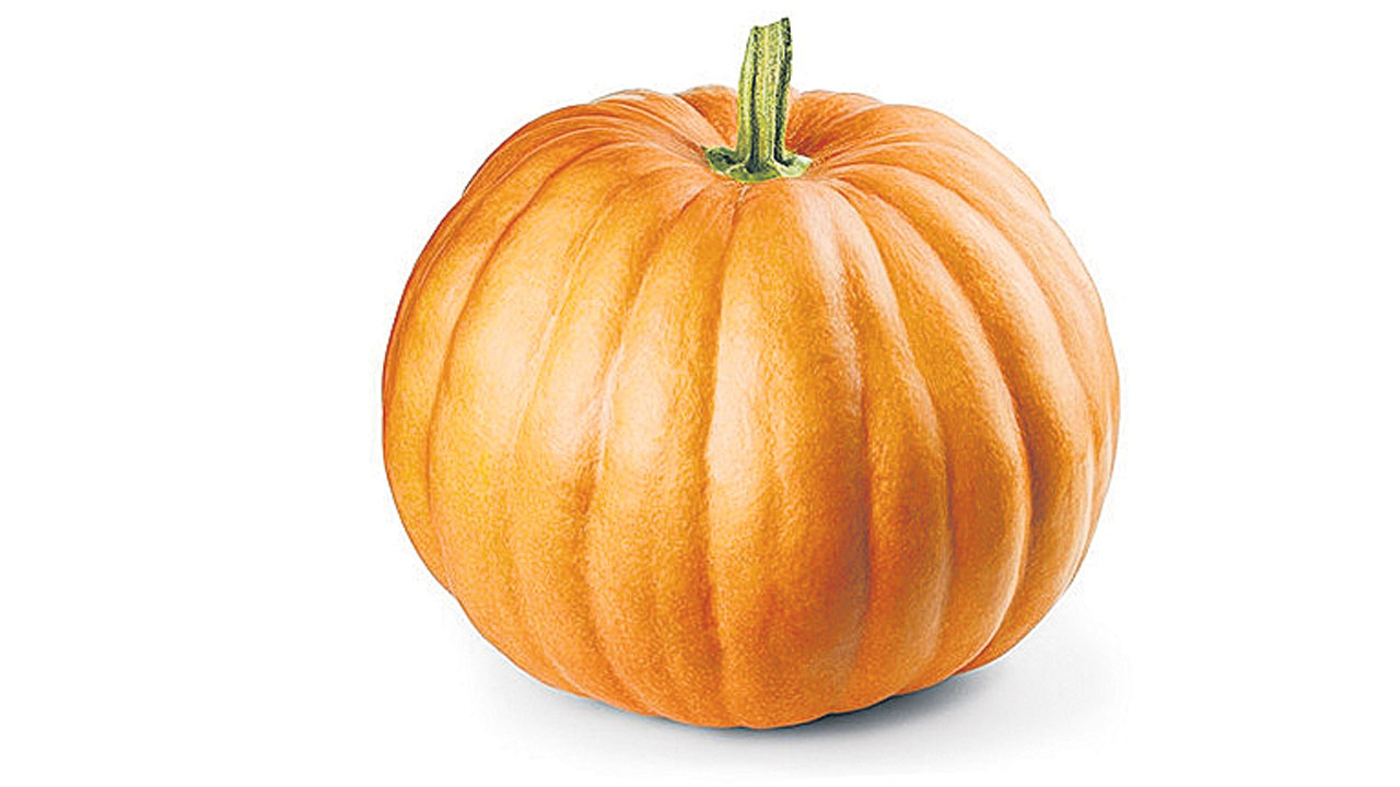 ఇంటి ముందు గుమ్మ‌డి కాయ ఎందుకు క‌డ‌తారు?