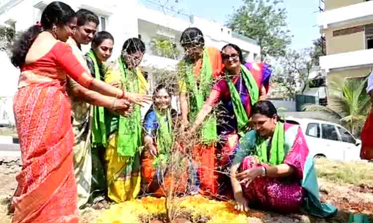 GreenIndia Challenge  | మొక్కలు నాటిన సీత రంజిత్ రెడ్డి