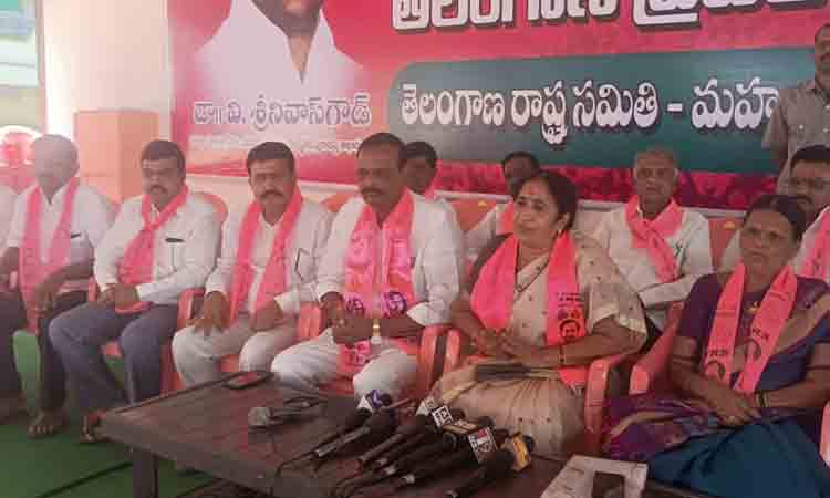 అందరిని సమానంగా చూసే వ్యక్తి మంత్రి శ్రీనివాస్ గౌడ్ : రెడ్డి సంఘాలు