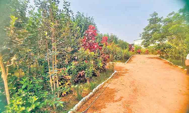 ఆహ్లాదం అద్భుతం