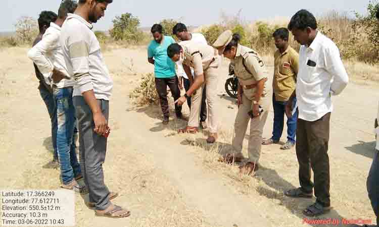 వామ్మో పులి..