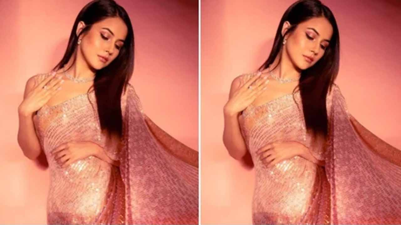 బిగ్‌బాస్ ఫేమ్ షెహ‌నాజ్ గిల్ వెయిట్‌లాస్‌ సీక్రెట్ ఇదే!!