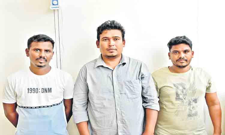 గంజాయి డెన్‌లో కుక్కల కాపలా