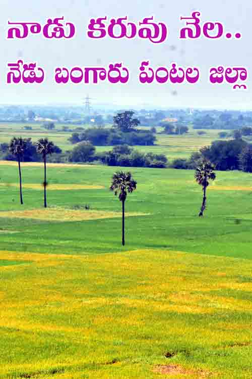 దశ తిరిగిన వనపర్తి.. ఎనిమిదేండ్లలోనే ఊహించని అభివృద్ధి..