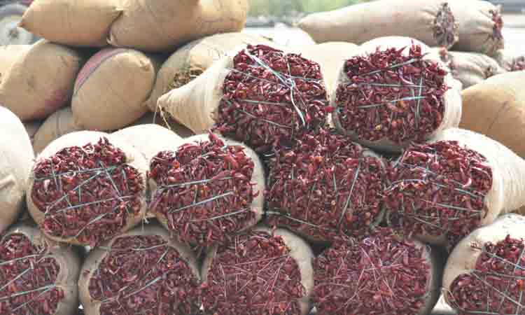 Warangal | ఘాటెక్కిన ఎర్ర బంగారం..ఆల్‌ టైం రికార్డు ధర పలికిన మిర్చి