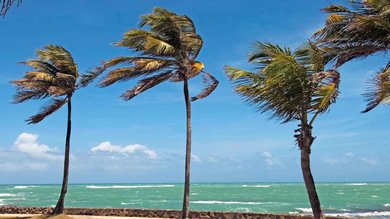 ఆండీస్ ప్రాంతంలోని స్థానిక శీతల పవనాలు ఏవి?