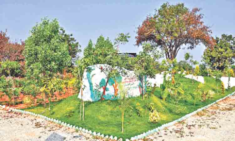 పల్లె ప్రగతితో పల్లెకు సంబురం