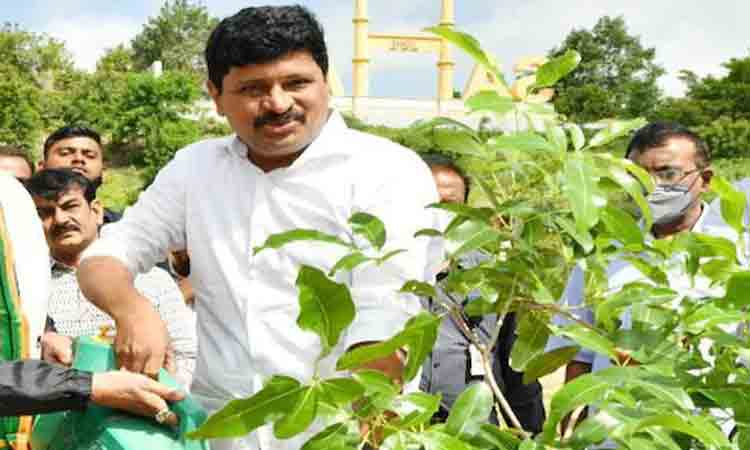 మొక్క నాటడం.. తల్లి ప్రేమ పొందడమే!