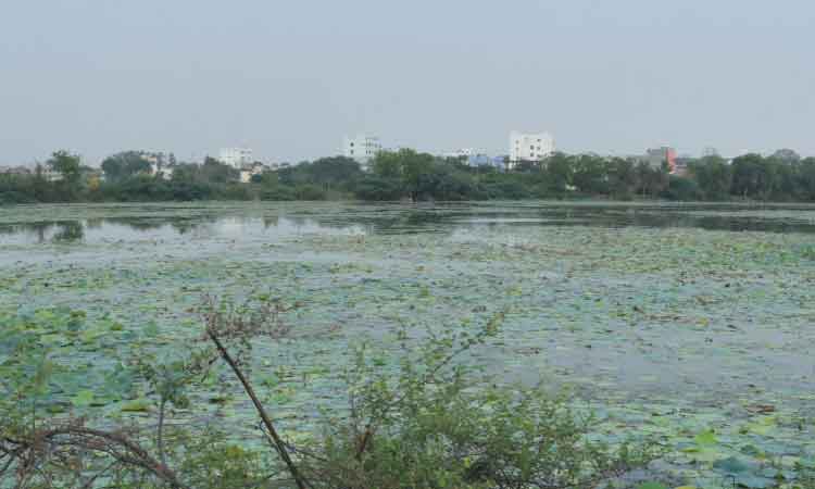 రాముని చెరువు సుందరీకరణ