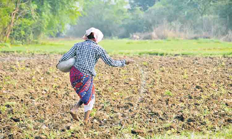 ముంచుకొస్తున్న ఎరువుల సంక్షోభం