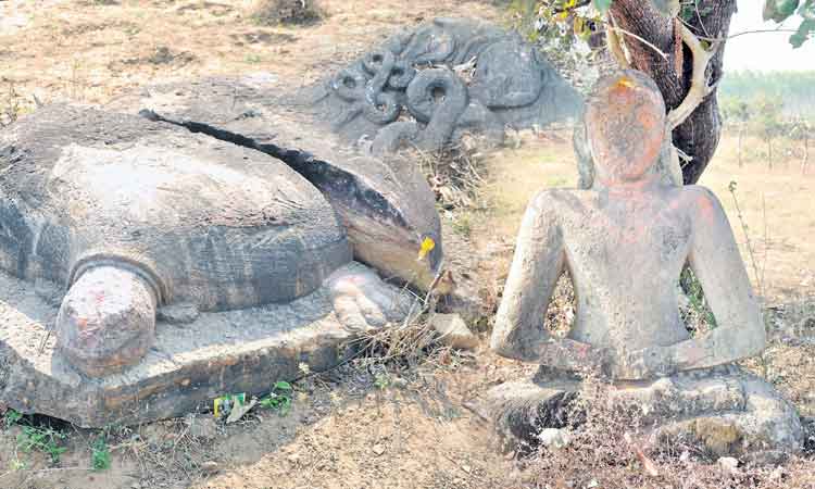 ప్రాణహిత తీరం.. శిలాజ నిలయం